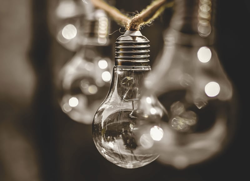 Sustainability Workshops