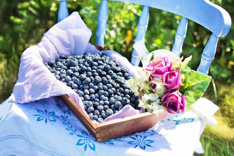 Eco-Friendly Gift Baskets